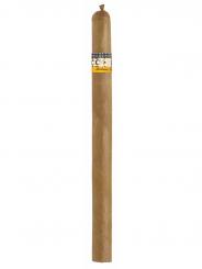 Cigarrenversand24, Cohiba Linea Classica