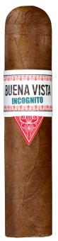 Buena Vista Incognito Short Robusto 1 Stück = einzeln