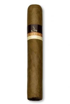 Garrido Robusto by John Aylesbury 1 Stück = einzeln