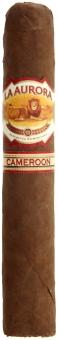 La Aurora 1903 Cameroon Robusto 20 Stück = Kiste (-3% CV24-Kistenrabatt)