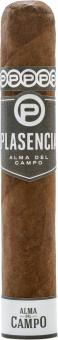 Plasencia Alma del Campo Tribu Robusto 1 Stück = einzeln