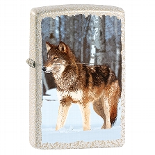 ZIPPO mercury glass Wolf in Snowy Forest Design 60005579 